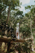 Woman Walking On Log In Rainforest, Princeville, Hawaii, US