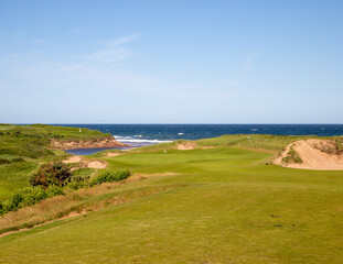 Wall Mural - fairway of a golf course in Nova Scotia