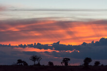 Sunset Over Lualenyi Game Reserve, Voi, Kenya