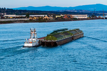 Tug Boat And Barge Working The Columbia River Between  Hayden Island, Portland, Oregon And Vancouver Washington