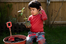 A Young Boy In A Garden Planting A Sunflower Seedling In A Plant Pot. 
