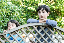 Portrait Of Two Brown Haired Boys Peering Over Garden Fence.