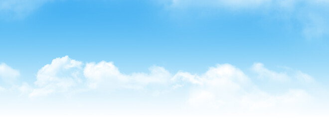 Wall Mural - blue sky with light clouds