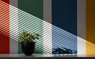 Plant in front of colorful design painted wall in the light and shadow