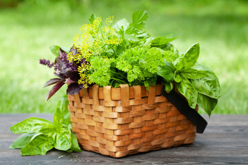 Canvas Print - Various herbs in basket