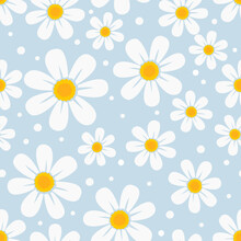 Seamless Pattern With Daisy Flower On Blue Background Vector Illustration.