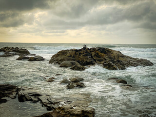 rocks and sea