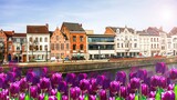 Fototapeta Tulipany - Beautiful landscape of tulips on the background of a canal to the Netherlands