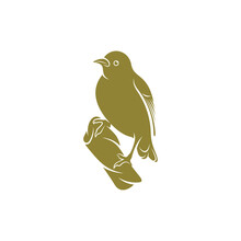 Starling Bird Design Vector Illustration, Creative Starling Bird Logo Design Concept Template, Symbols Icons