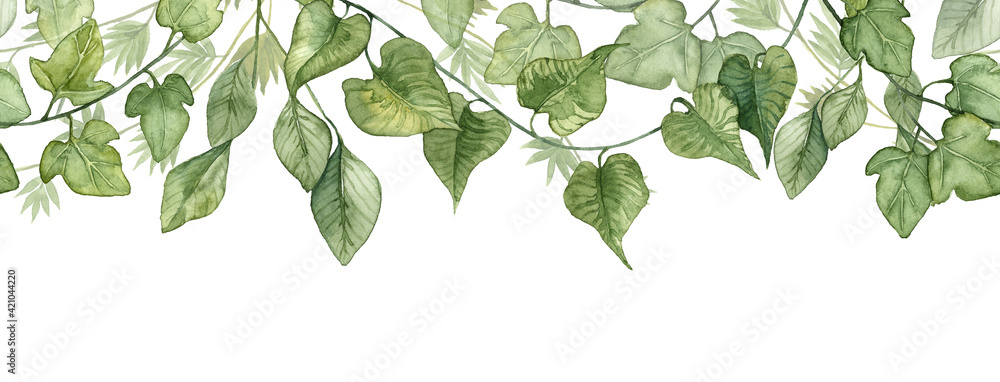 Long seamless banner with hanging ivy leaves - obrazy, fototapety, plakaty 
