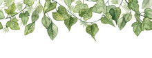 Long Seamless Banner With Hanging Ivy Leaves