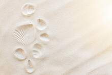 Travel, Vacation Concept. Sea Shells On Sand And Blue Background. Travelling