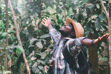 Wall Mural - Happiness African man traveler with backpack walking  in the forest