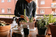 © Edgar - Hombre caucásico joven en la terraza de su casa cuidando sus plantas y suculentas con varias plantas encima de la mesa y material para cuidarlas. Añadiendo tierra.