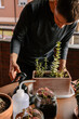 © Edgar - Hombre caucásico joven en la terraza de su casa cuidando sus plantas y suculentas con varias plantas encima de la mesa y material para cuidarlas