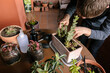 © Edgar - Hombre caucásico joven en la terraza de su casa cuidando sus plantas y suculentas con varias plantas encima de la mesa y material para cuidarlas