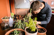 © Edgar - Hombre caucásico joven en la terraza de su casa cuidando sus plantas y suculentas con varias plantas encima de la mesa y material para cuidarlas