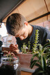 © Edgar - Hombre caucásico joven en la terraza de su casa cuidando sus plantas y suculentas con varias plantas encima de la mesa y material para cuidarlas