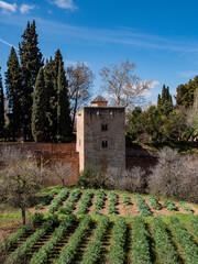 Wall Mural - detail of the Alhambra gardens in granada, Spain