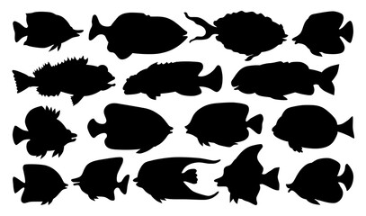 Collection vector silhouettes of tropic aquarium fish isolated on white. Set of different variation exotic fish