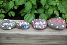 Painted Stone Markers For Vegetable Garden