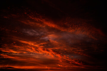 Wall Mural - Abstract dark red background. Dramatic fiery bloody sky. Fantastic golden sunset background with copy space for design. Halloween, evil, armageddon, apocalypse concept. Web banner.