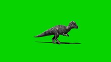 Pachycephalosaurus Walking On Green Screen