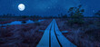 © Maria Vonotna - Panoramic view of bog at night with wooden path, small ponds and pine trees. Hiking trail with wooden walkway that goes across the swamp against full moon and  night sky with stars.