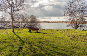 Wall Mural - Empty wooden bench on the shore of a lake. Despite the heavily clouded sky, the sunlight provides sharp shadows. It is at the end of the Dutch winter season.