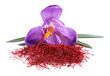 Pile of dried saffron and crocus flower on white background