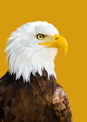 american bald eagle low polygon portrait 