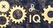 Intelligence quotient, iq test score and level concept, gears with a key on a metal background, web banner