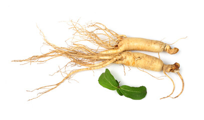 Wall Mural - Fresh ginseng slices on white background.