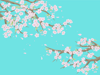  桜のイラスト/空色背景2【ベクター】
