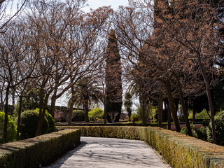 Wall Mural - park in spring