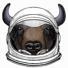 Vector Bison Head. Portrait Of Bull, Buffalo. Astronaut Animal. Vector Portrait. Cosmos And Spaceman. Space Illustration About Travel To The Moon. Funny Science Hand Drawn Illustration.