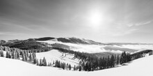 The Beauty Of Winter On The Snowy Mountains In Black And White. Rodnei Mountains - Romania