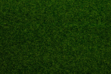 Green lawn background. Green grass.