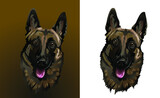 Fototapeta Konie - Portrait of a Belgian Shepherd for the logo 
Set for logo and chevron  
Surprised funny dog of the malinois breed
