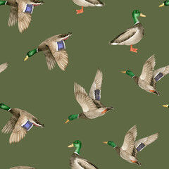 seamless pattern with birds wild ducks drake on green background, watercolor illustration hand painted	
