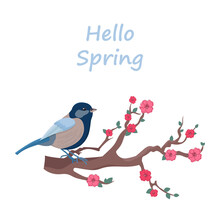 Vector Illustration, Postcard Congratulations On The Beginning Of Spring, Hello Spring, Bird On The Tree, Pastel Colors, Flowering Tree, Sakura
