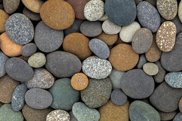 Wall Mural - USA, Washington State, Olympic National Park. Close-up of beach rocks.