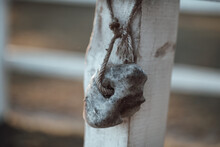 Close-up Of Rope Tied Up On Wood