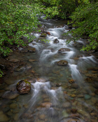 Sticker - USA, Washington State, Olympic National Park. Dungeness River rapids.