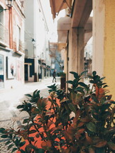 Close-up Of Alley Amidst Buildings In City