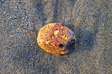 Jetsam and flotsam, an orange and brown piece of ceramics deposited by the sea on a sandy beach.