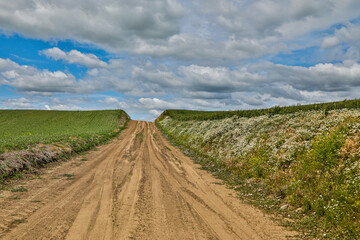 Sticker - USA, Washington State, Palouse. Dirt road in Oakesdale.