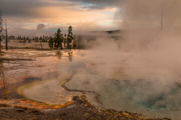 Wall Mural - dramatic photo of bubbling and steaming hot spring in the Yellowstone National park in Wyoming.