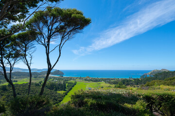 Wall Mural - Wide angle view from hill above M<edlands on Great Barrier