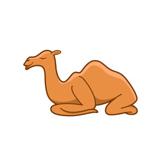 Cartoon camel, cute character for children. Vector illustration in cartoon style for abc book, poster, postcard. Animal alphabet - letter C.